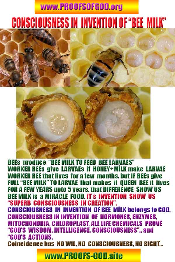 proofs of god, proofs-god, proofs god, evidences of god, evidences-god