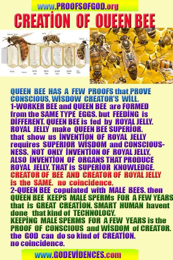 scientific proofs of god, proofs-god, evidences of god, evidences-god, god exists, god is real, signs of god