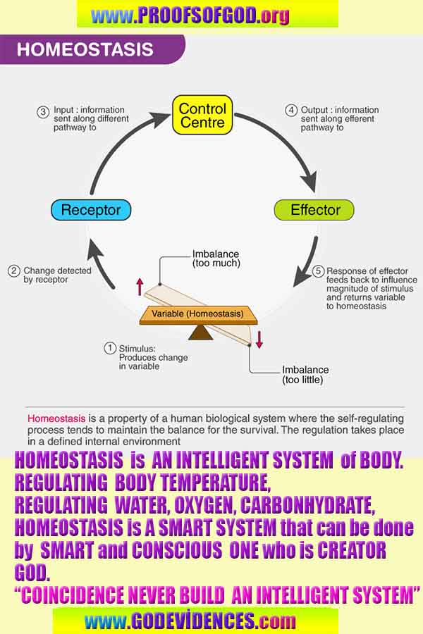proofs of god, proofs-god, proofs god, evidences of god, evidences-god, god exists, god is real