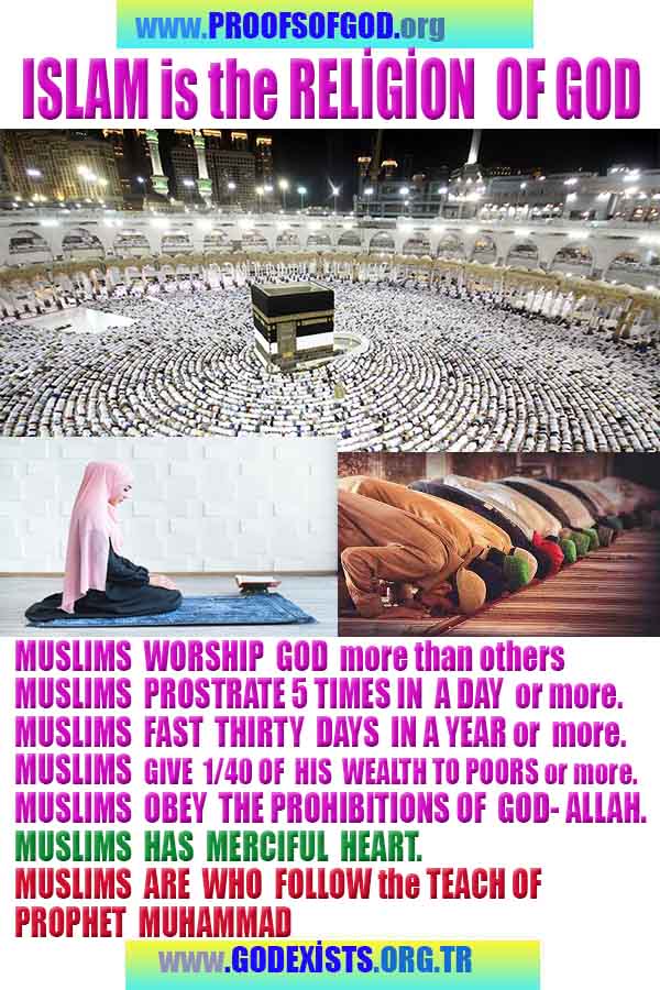 proofs of god, proofs-god, evidences of god, evidences-god, god exists proofs